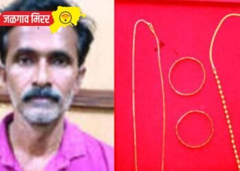 जळगावातील नातूने चोरले आजीचे दागिने पण विकण्यापूर्वीच एलसीबीने ठोकल्या बेड्या !