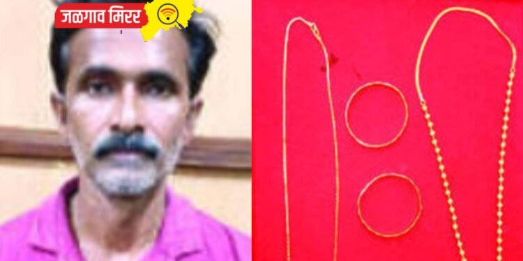 जळगावातील नातूने चोरले आजीचे दागिने पण विकण्यापूर्वीच एलसीबीने ठोकल्या बेड्या !