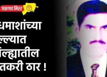 मधमाशांच्या हल्ल्यात जिल्ह्यातील शेतकरी ठार !