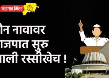 दोन नावावर भाजपात सुरु झाली रस्सीखेच !