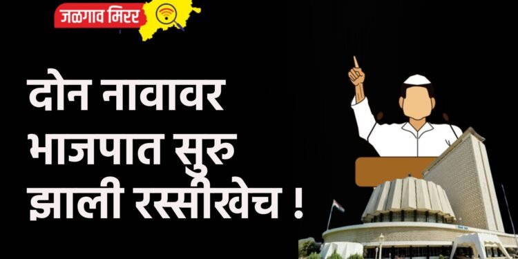 दोन नावावर भाजपात सुरु झाली रस्सीखेच !