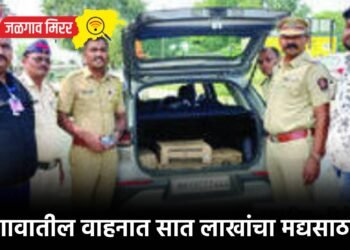 जळगावातील वाहनात सात लाखांचा मद्यसाठा जप्त