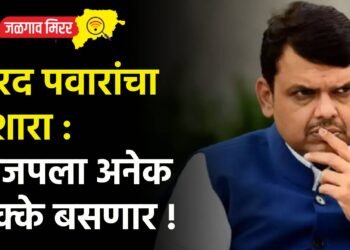 शरद पवारांचा इशारा : भाजपला अनेक धक्के बसणार !