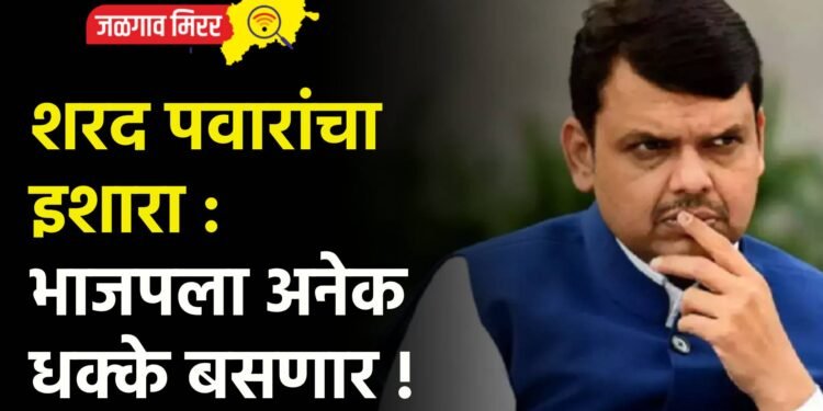 शरद पवारांचा इशारा : भाजपला अनेक धक्के बसणार !