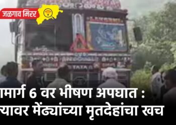 महामार्ग ६ वर भीषण अपघात : रस्त्यावर मेंढ्यांच्या मृतदेहांचा खच