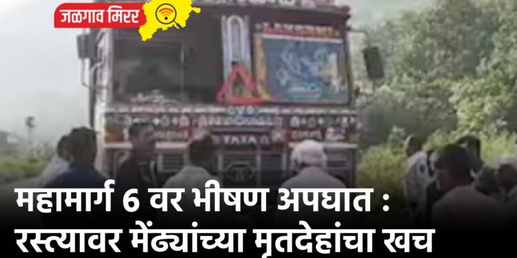 महामार्ग ६ वर भीषण अपघात : रस्त्यावर मेंढ्यांच्या मृतदेहांचा खच