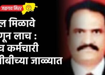 बिल मिळावे म्हणून लाच : पाच कर्मचारी एसीबीच्या जाळ्यात