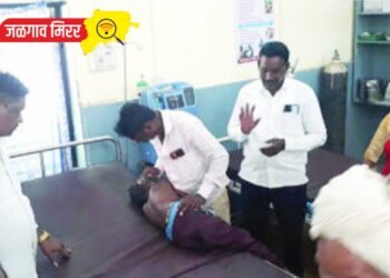 बापरे : बिबट्याच्या बछड्याच्या हल्ल्यात १२ वर्षीय बालक गंभीर जखमी