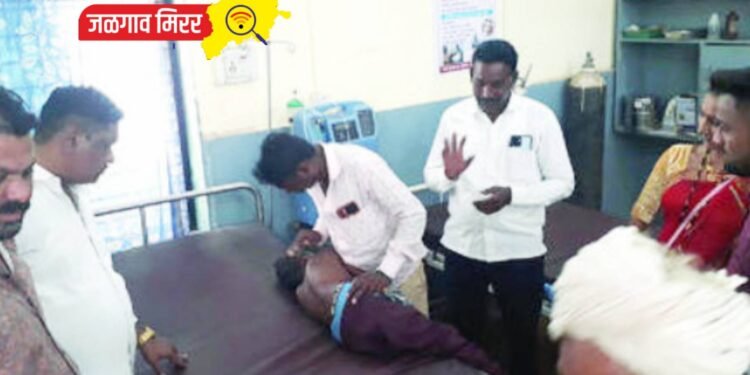 बापरे : बिबट्याच्या बछड्याच्या हल्ल्यात १२ वर्षीय बालक गंभीर जखमी