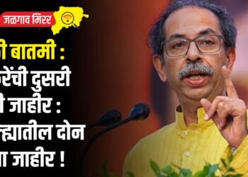 मोठी बातमी : ठाकरेंची दुसरी यादी जाहीर : जिल्ह्यातील दोन जागा जाहीर !