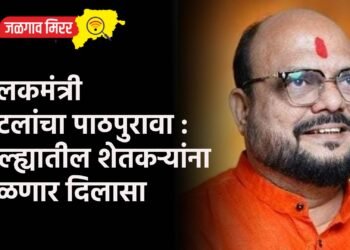 पालकमंत्री पाटलांचा पाठपुरावा : जिल्ह्यातील शेतकऱ्यांना मिळणार दिलासा