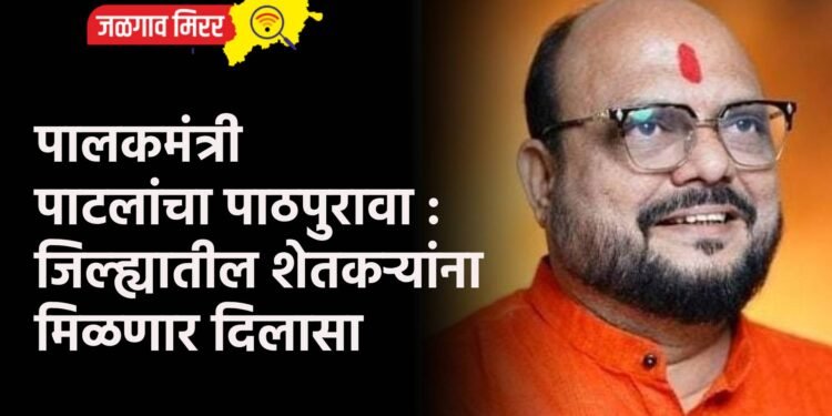 पालकमंत्री पाटलांचा पाठपुरावा : जिल्ह्यातील शेतकऱ्यांना मिळणार दिलासा