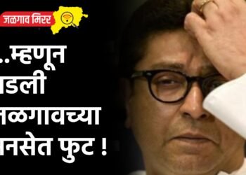 …म्हणून पडली जळगावच्या मनसेत फुट !