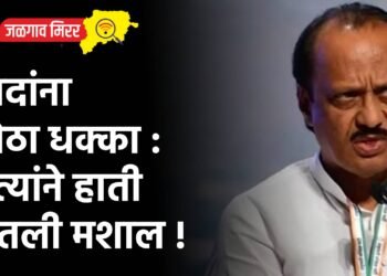 दादांना मोठा धक्का : नेत्यांनी हाती घेतली मशाल !