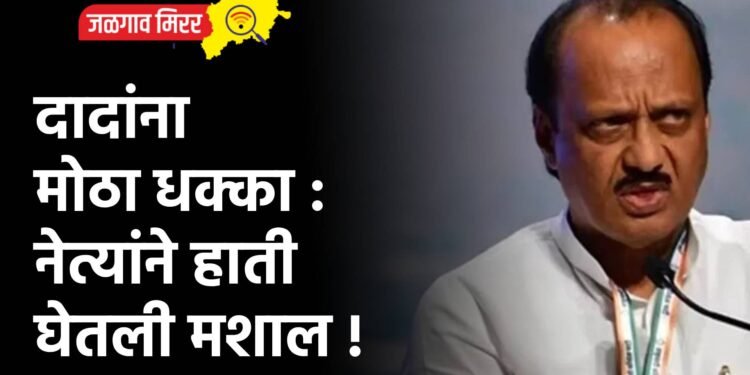 दादांना मोठा धक्का : नेत्यांनी हाती घेतली मशाल !