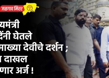 मुख्यमंत्री शिंदेंनी घेतले कामाख्या देवीचे दर्शन ; उद्या दाखल करणार अर्ज !