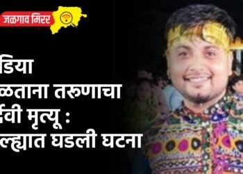 दांडिया खेळताना तरूणाचा दुर्देवी मृत्यू : जिल्ह्यात घडली घटना
