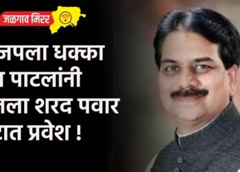 भाजपला धक्का देत पाटलांनी घेतला शरद पवार गटात प्रवेश !