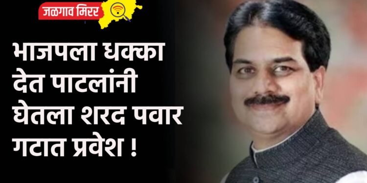 भाजपला धक्का देत पाटलांनी घेतला शरद पवार गटात प्रवेश !