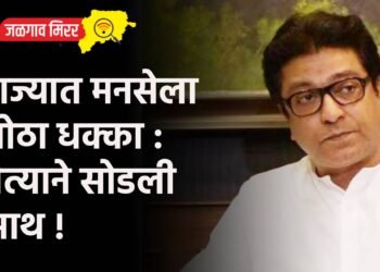 राज्यात मनसेला मोठा धक्का : नेत्याने सोडली साथ !