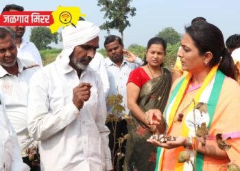 प्रचाराचा ताफा घेऊन रोहिणी खडसे पोहचल्या शेताच्या बांधावर