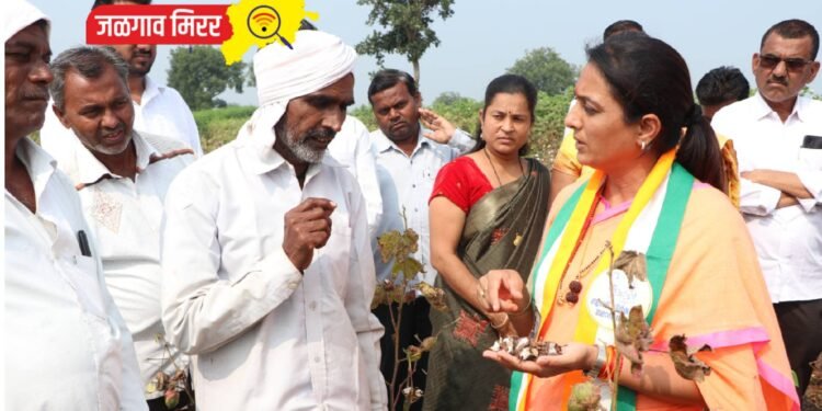 प्रचाराचा ताफा घेऊन रोहिणी खडसे पोहचल्या शेताच्या बांधावर