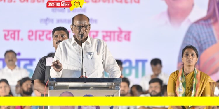 मतदारसंघात चित्र बदलवण्यासाठी रोहिणी खडसेंना निवडून द्या – शरद पवार