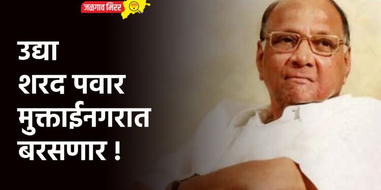 उद्या शरद पवार मुक्ताईनगरात बरसणार !