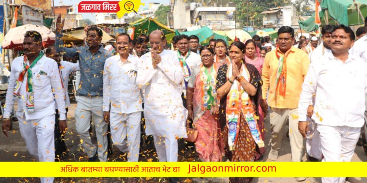 …आता रोहिणी खडसे यांच्या पाठीशी उभे राहू – डॉ.बी.सी.महाजन