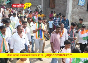 …मतदार संघातील शाश्वत विकास करण्यासाठी माझी उमेदवारी – धनंजय चौधरी