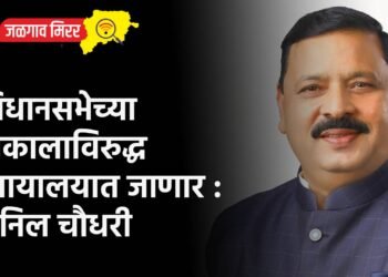 विधानसभेच्या निकालाविरुद्ध न्यायालयात जाणार : अनिल चौधरी