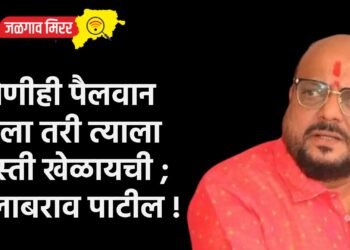 कोणीही पैलवान आला तरी त्याला कुस्ती खेळायची ; गुलाबराव पाटील !