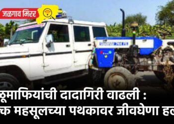 वाळूमाफियांची दादागिरी वाढली : चक्क महसूलच्या पथकावर जीवघेणा हल्ला