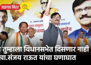 तो तुम्हाला विधानसभेत दिसणार नाही ; खा.संजय राऊत यांचा घणाघात