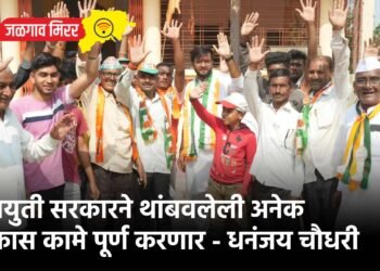 महायुती सरकारने थांबवलेली अनेक विकास कामे पूर्ण करणार – धनंजय चौधरी