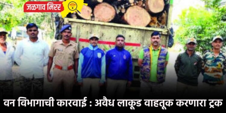 वन विभागाची कारवाई : अवैध लाकूड वाहतूक करणारा ट्रक