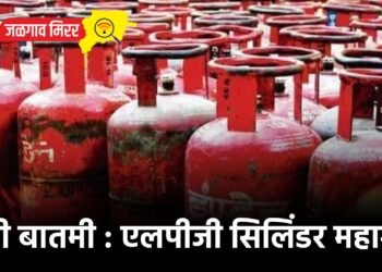 मोठी बातमी : एलपीजी सिलिंडर महागला
