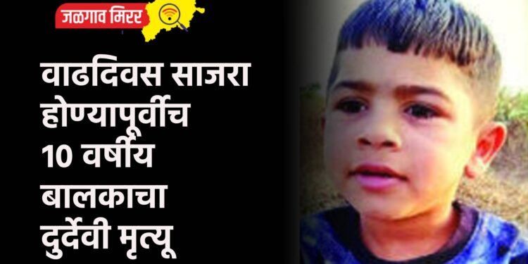 वाढदिवस साजरा होण्यापूर्वीच १० वर्षीय बालकाचा दुर्देवी मृत्यू