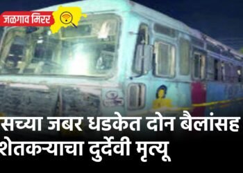 बसच्या जबर धडकेत दोन बैलांसह शेतकऱ्याचा दुर्देवी मृत्यू