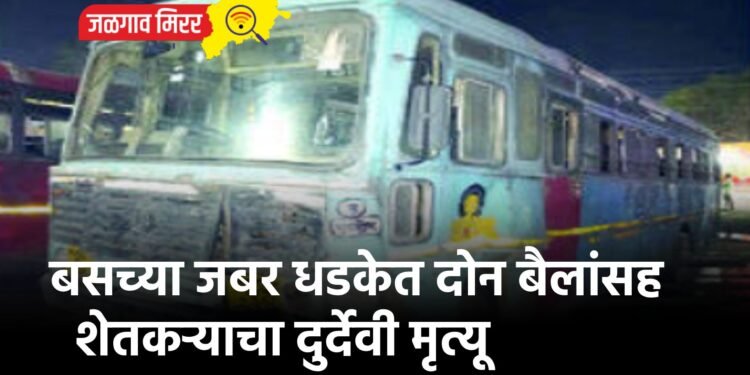 बसच्या जबर धडकेत दोन बैलांसह शेतकऱ्याचा दुर्देवी मृत्यू