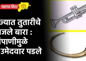 राज्यात तुतारीचे वाजले बारा : पिपाणीमुळे ९ उमेदवार पडले