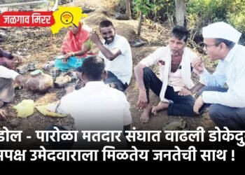 एरंडोल – पारोळा मतदार संघात वाढली डोकेदुखी : अपक्ष उमेदवाराला मिळतेय जनतेची साथ !