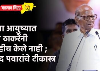 उभ्या आयुष्यात राज ठाकरेंनी काहीच केले नाही ; शरद पवारांचे टीकास्त्र