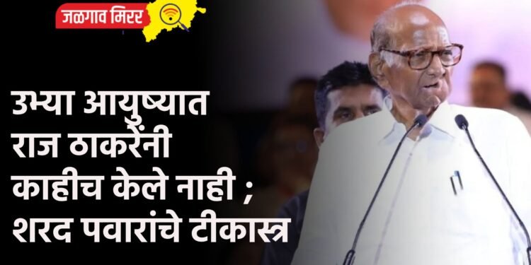 उभ्या आयुष्यात राज ठाकरेंनी काहीच केले नाही ; शरद पवारांचे टीकास्त्र
