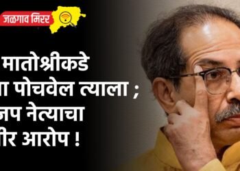 जो मातोश्रीकडे बॅगा पोचवेल त्याला ; भाजप नेत्याचा गंभीर आरोप !