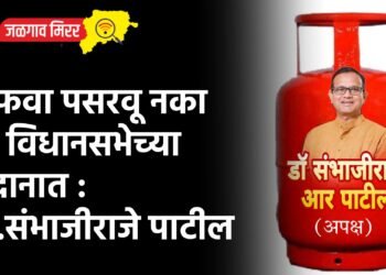 अफवा पसरवू नका मी विधानसभेच्या मैदानात : डॉ.संभाजीराजे पाटील