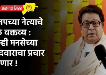 भाजपच्या नेत्याचे मोठे वक्तव्य : आम्ही मनसेच्या उमेदवाराचा प्रचार करणार !