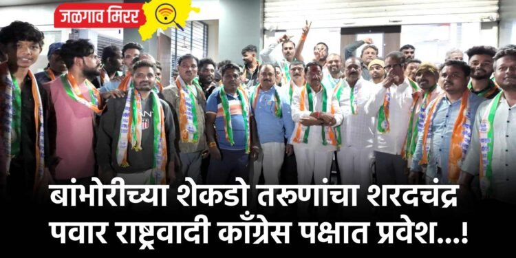 बांभोरीच्या शेकडो तरूणांचा शरदचंद्र पवार राष्ट्रवादी काँग्रेस पक्षात प्रवेश…!