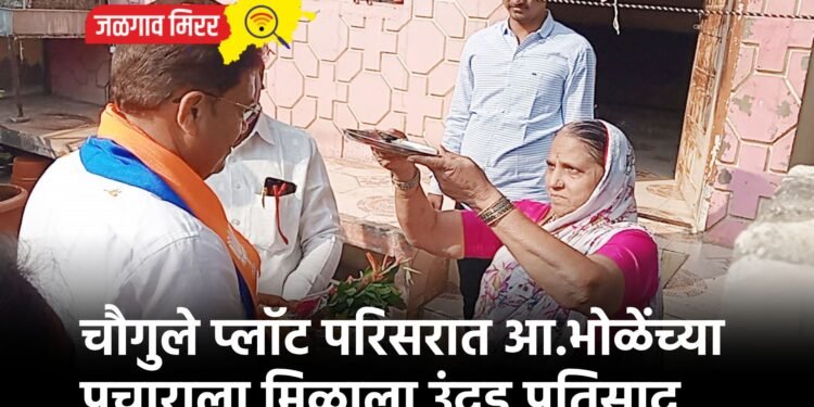 चौगुले प्लॉट परिसरात आ.भोळेंच्या प्रचाराला मिळाला उंदड प्रतिसाद