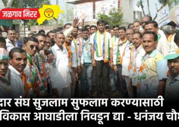 मतदार संघ सुजलाम सुफलाम करण्यासाठी महाविकास आघाडीला निवडून द्या – धनंजय चौधरी !